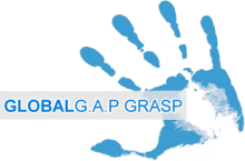 grasp